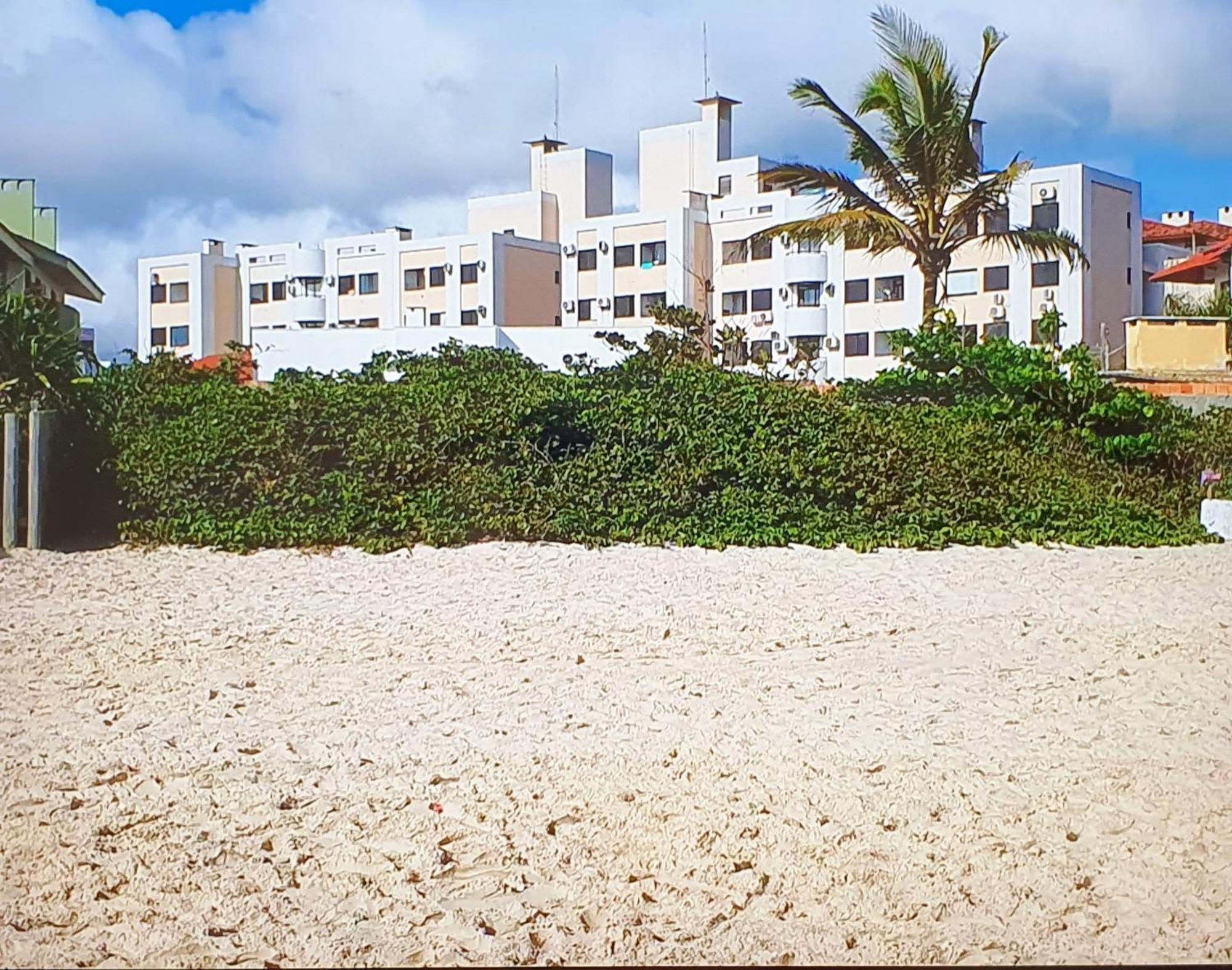 Apartamento Top No Centrinho Da Praia Dos Ingleses Florianópolis Eksteriør billede